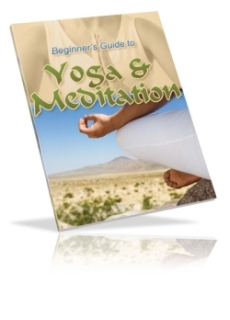 Yoga & Meditation Yoga & Meditation